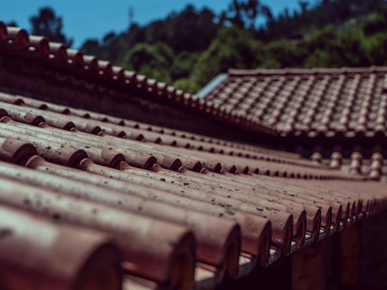 Brothers Roofing & Exteriors — roofing contractor in Cecil, PA