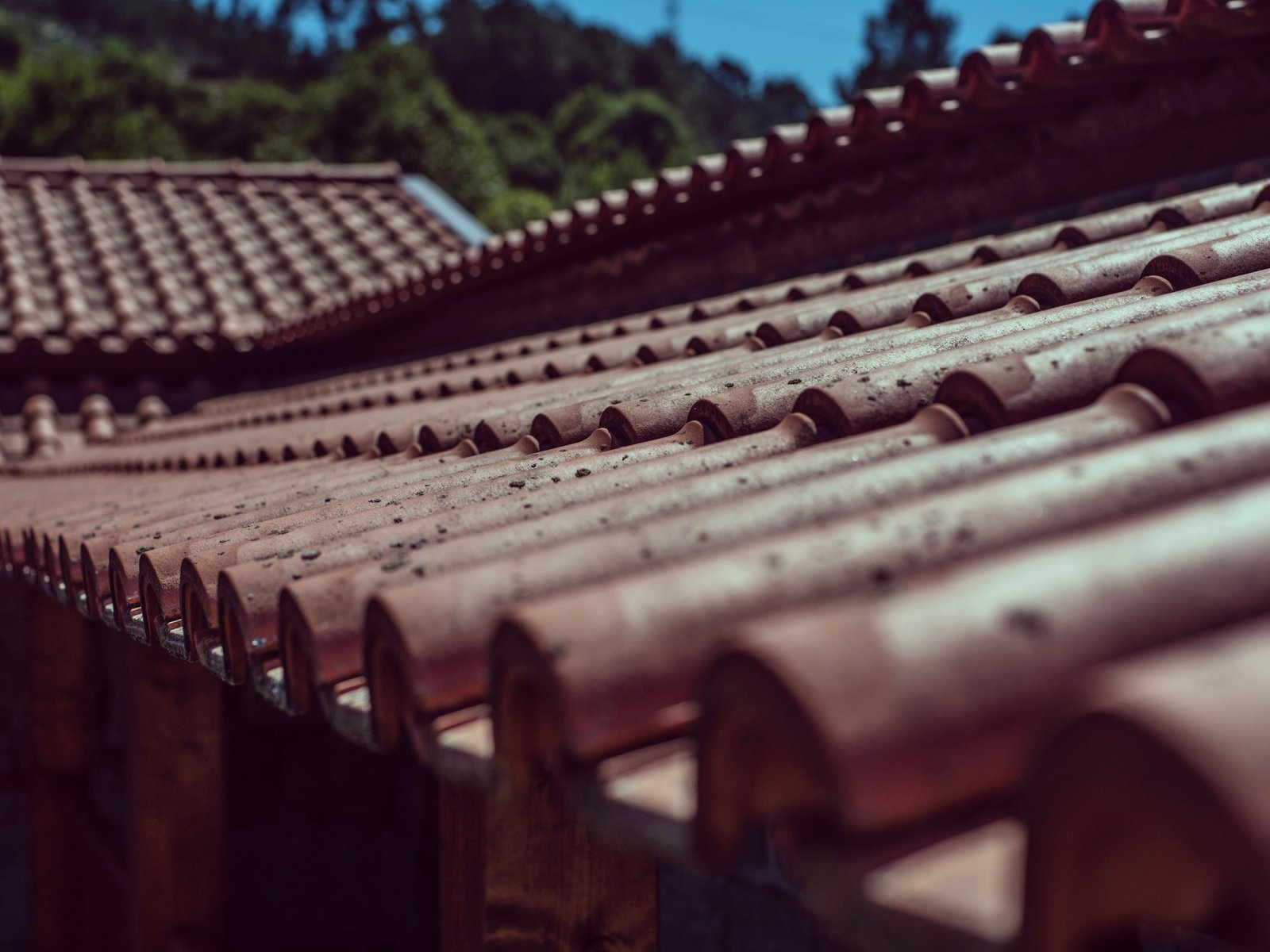 DiBello Family Roofing — roofing contractor in East Orange, NJ