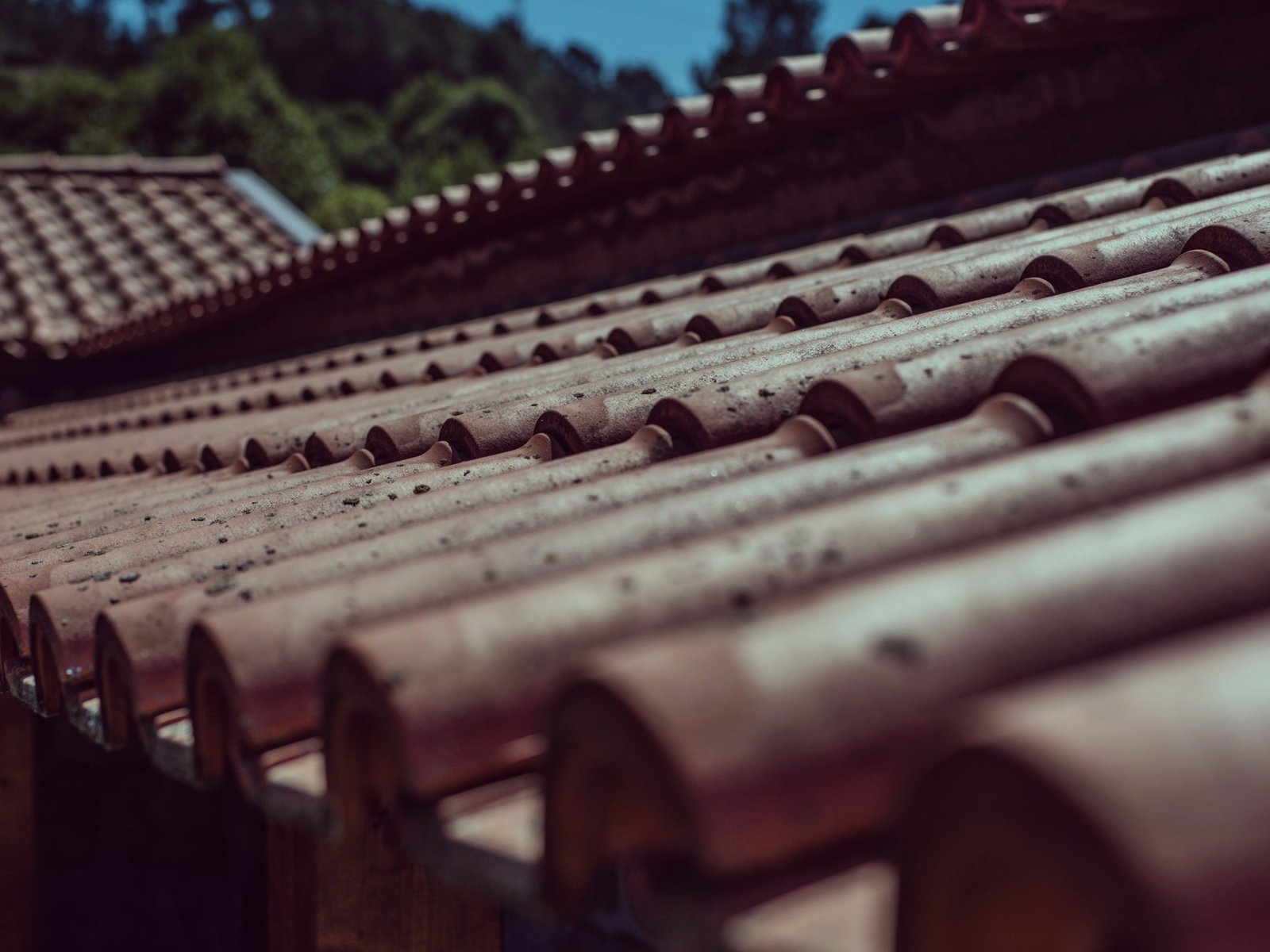 Seipp Roofing, LLC — roofing contractor in Chanceford, PA
