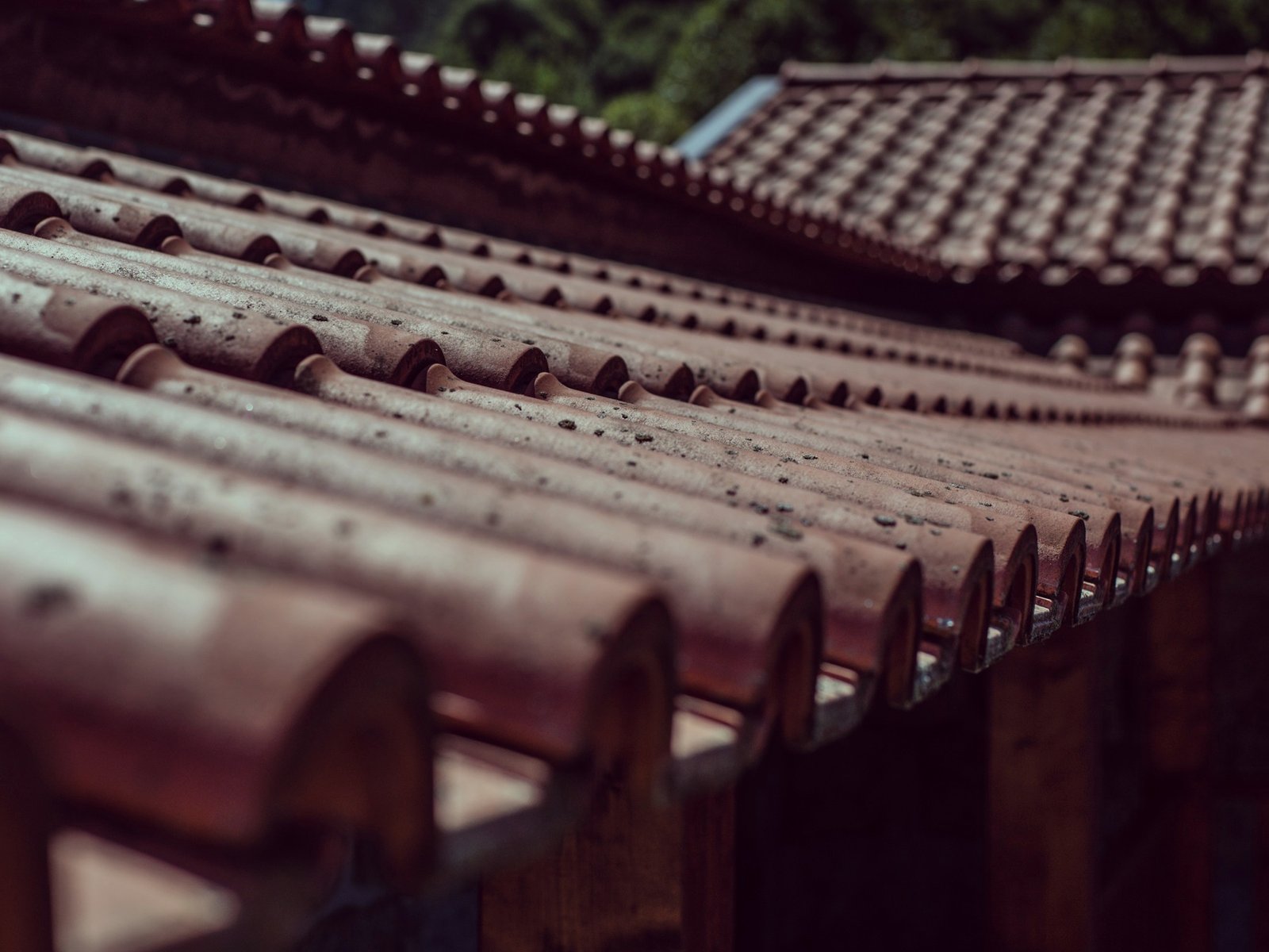 Great Oak Roofing — roofing contractor in Coats, NC