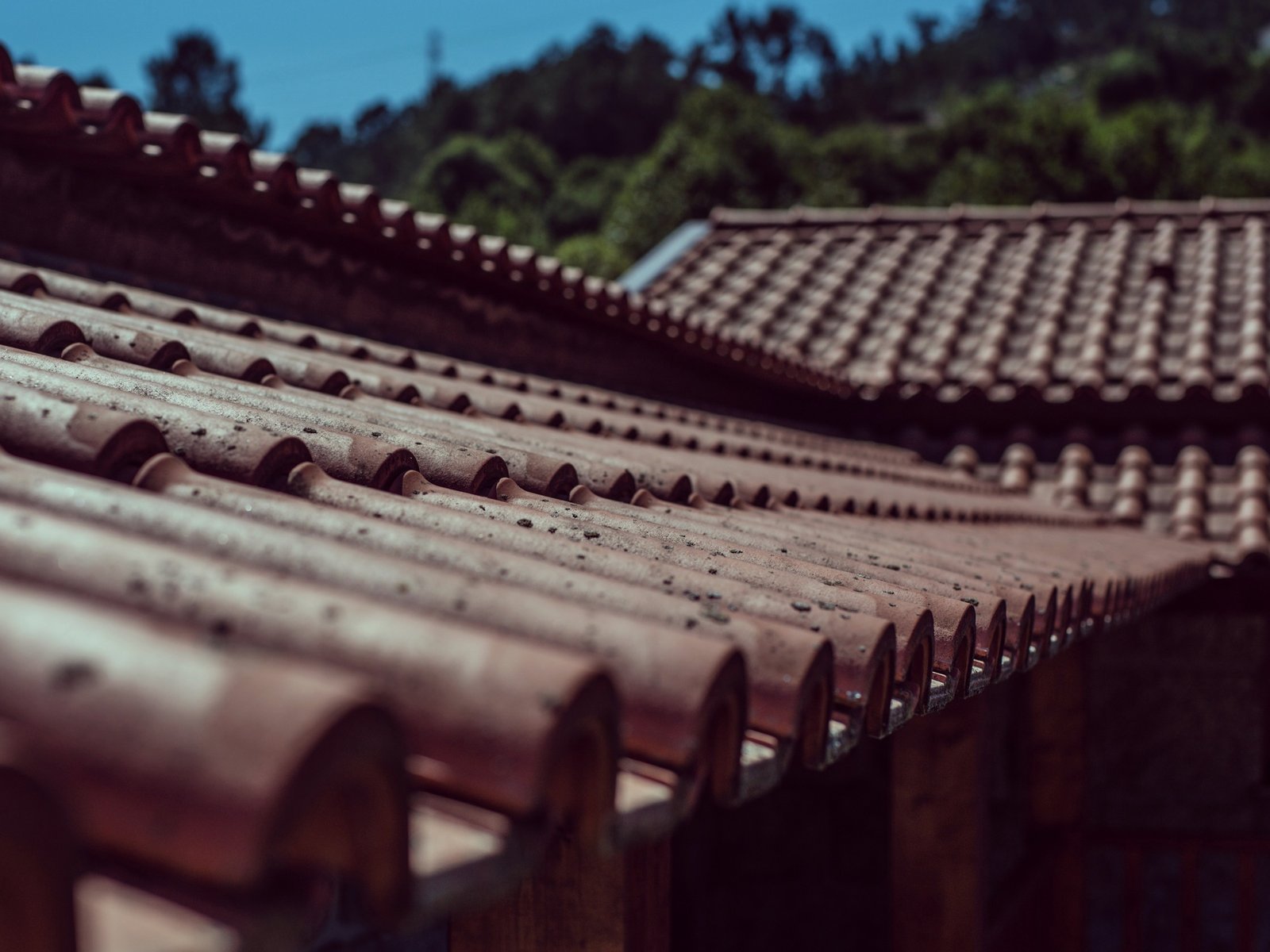 Superior Roofing & Construction — roofing contractor in Upper Macungie, PA
