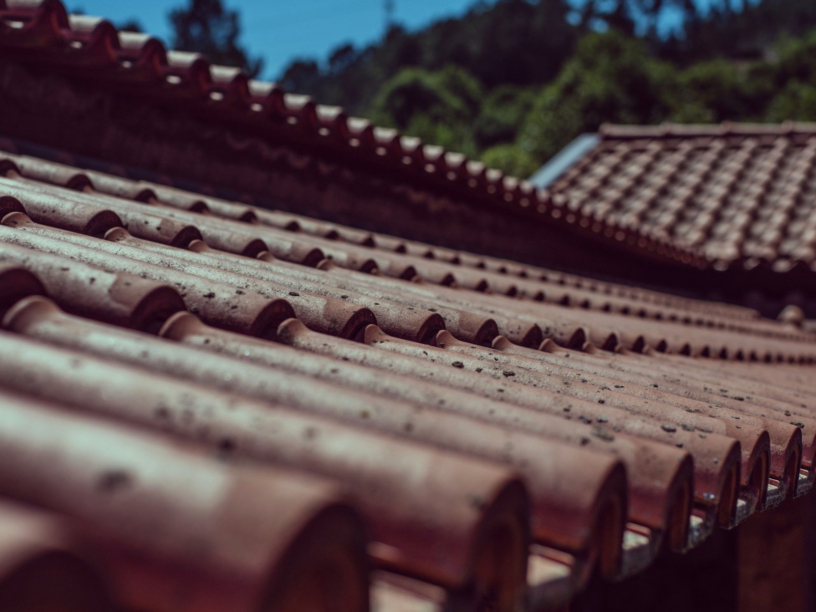 Rescue Roofing Specialists — roofing contractor in Dillsburg, PA