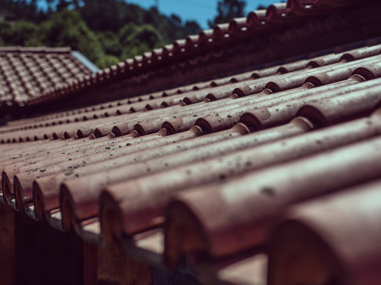 All American Roofing & Restoration — roofing contractor in Dumont, NJ