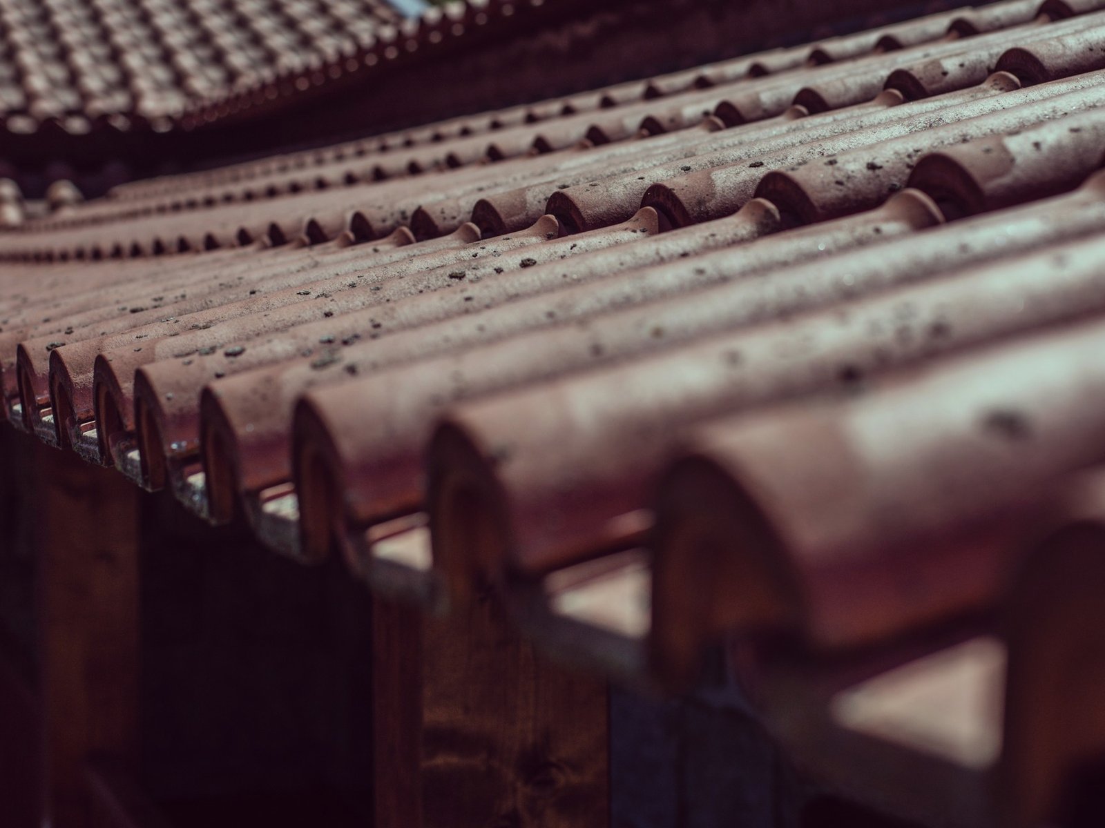 Seipp Roofing, LLC — roofing contractor in Bonita Springs, FL