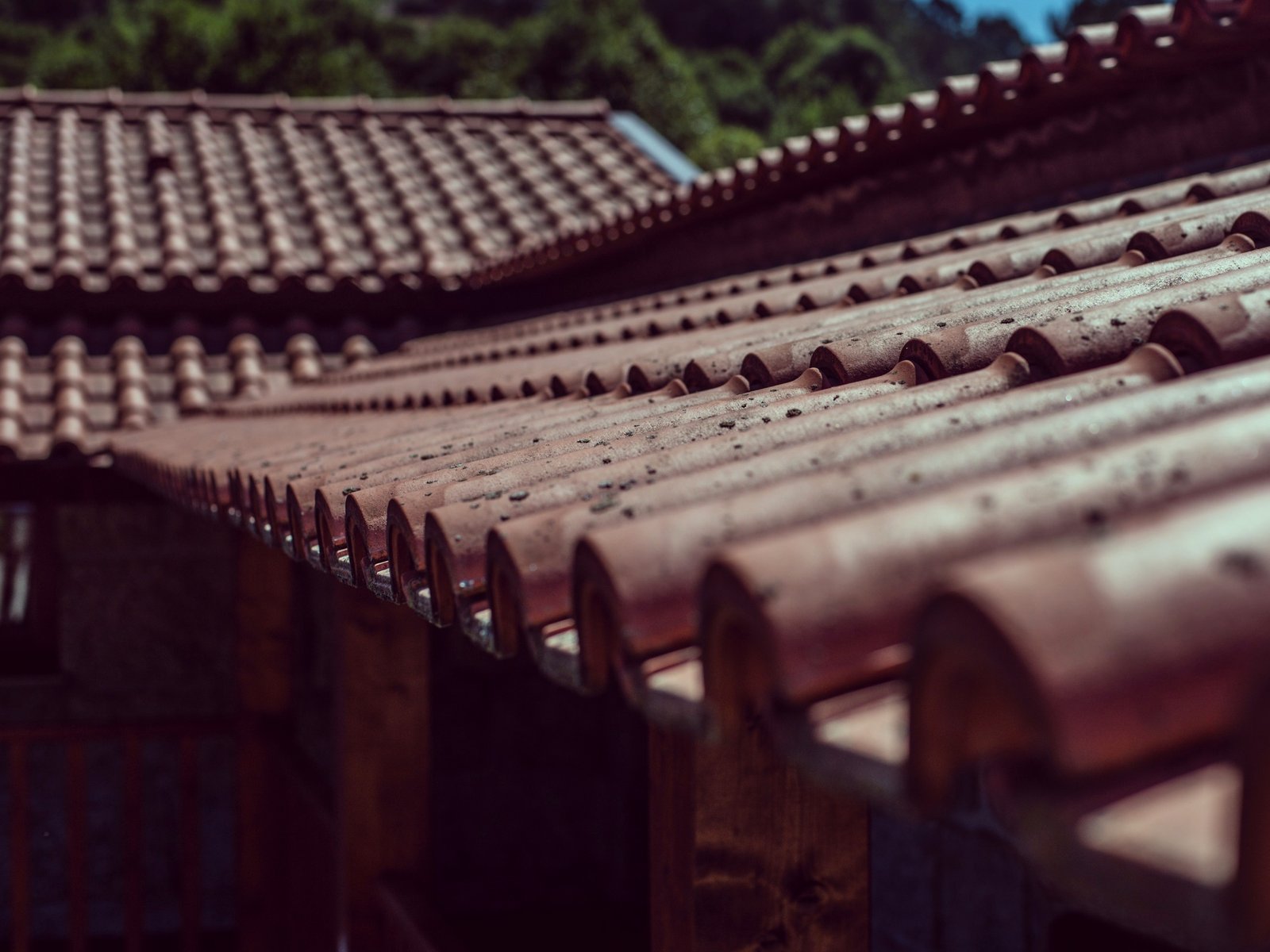 Swan Roofing Contracting — roofing contractor in Abingdon, MD