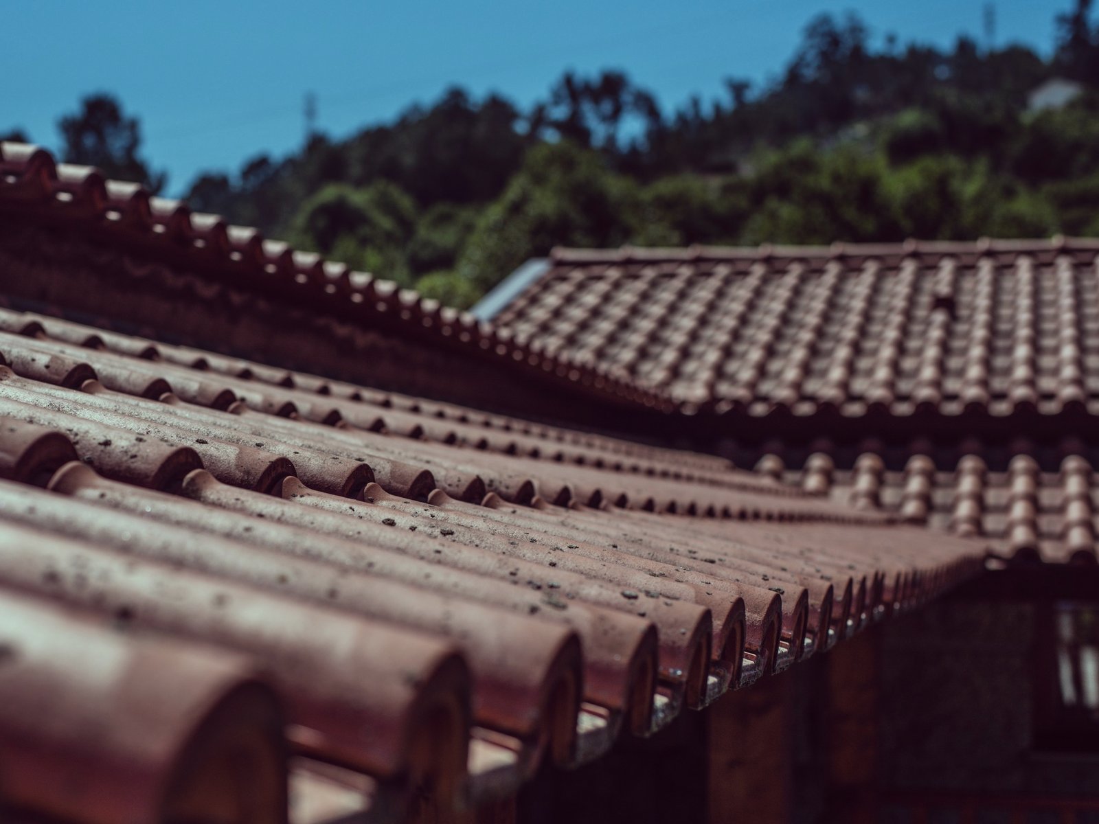 JG Roofing Repair & Service — roofing contractor in Derwood, MD