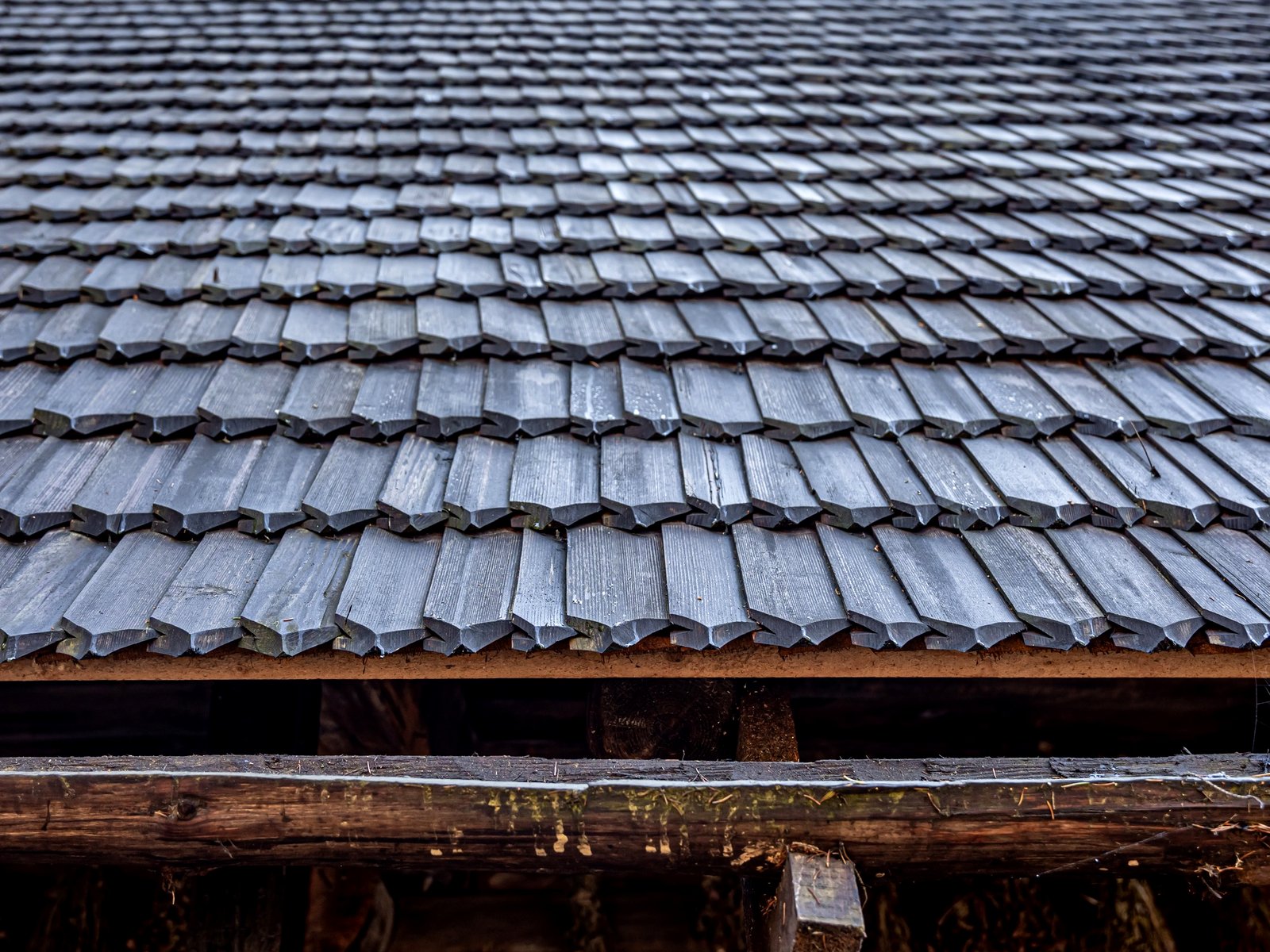 Roof Masters — roofing contractor in Delray Beach, FL