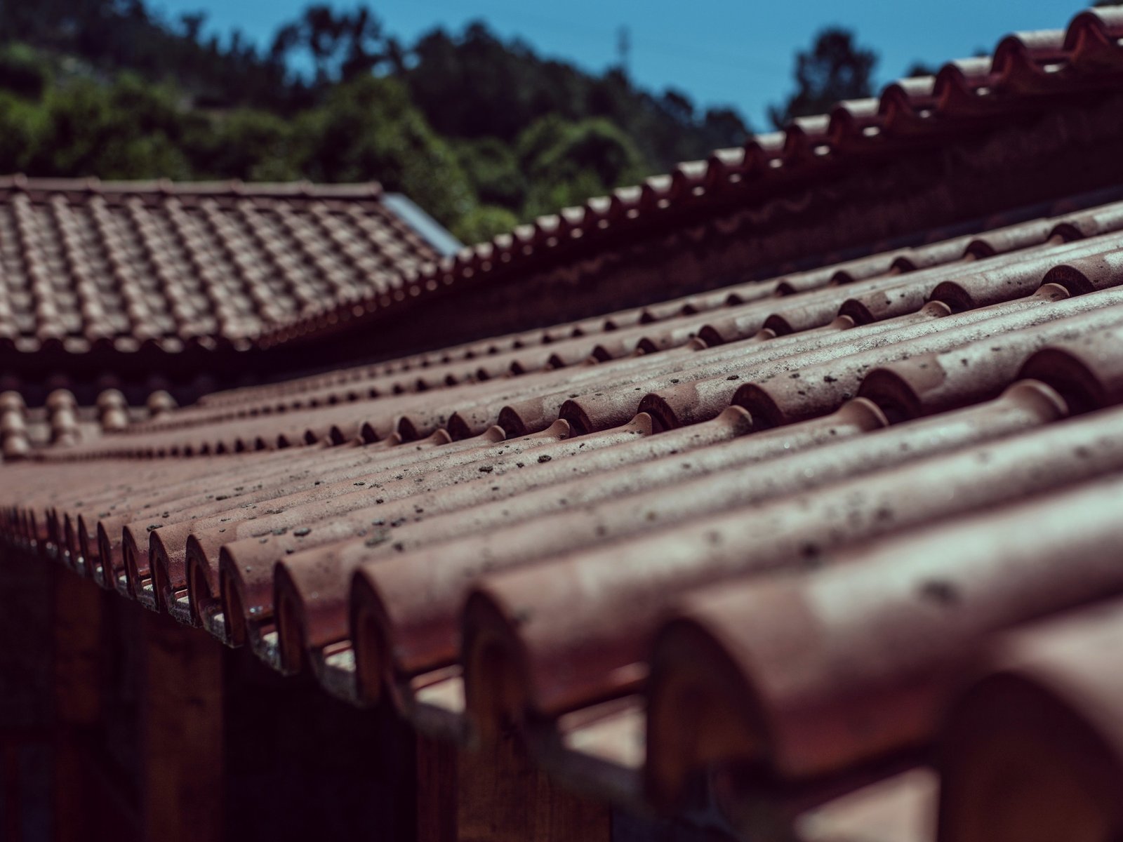 AmeriRoofs Roofing Company Inc — roofing contractor in Barrett, PA