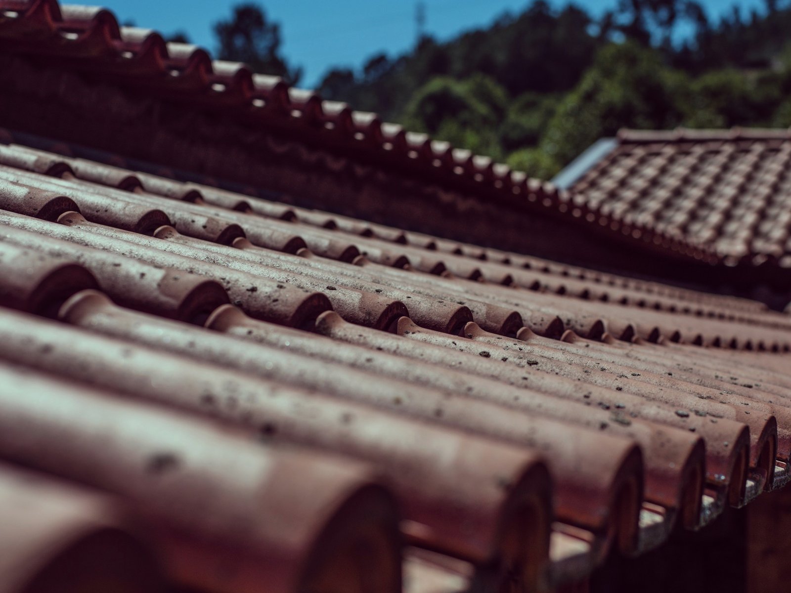 Arabie Roofing Company — roofing contractor in Cranford, NJ