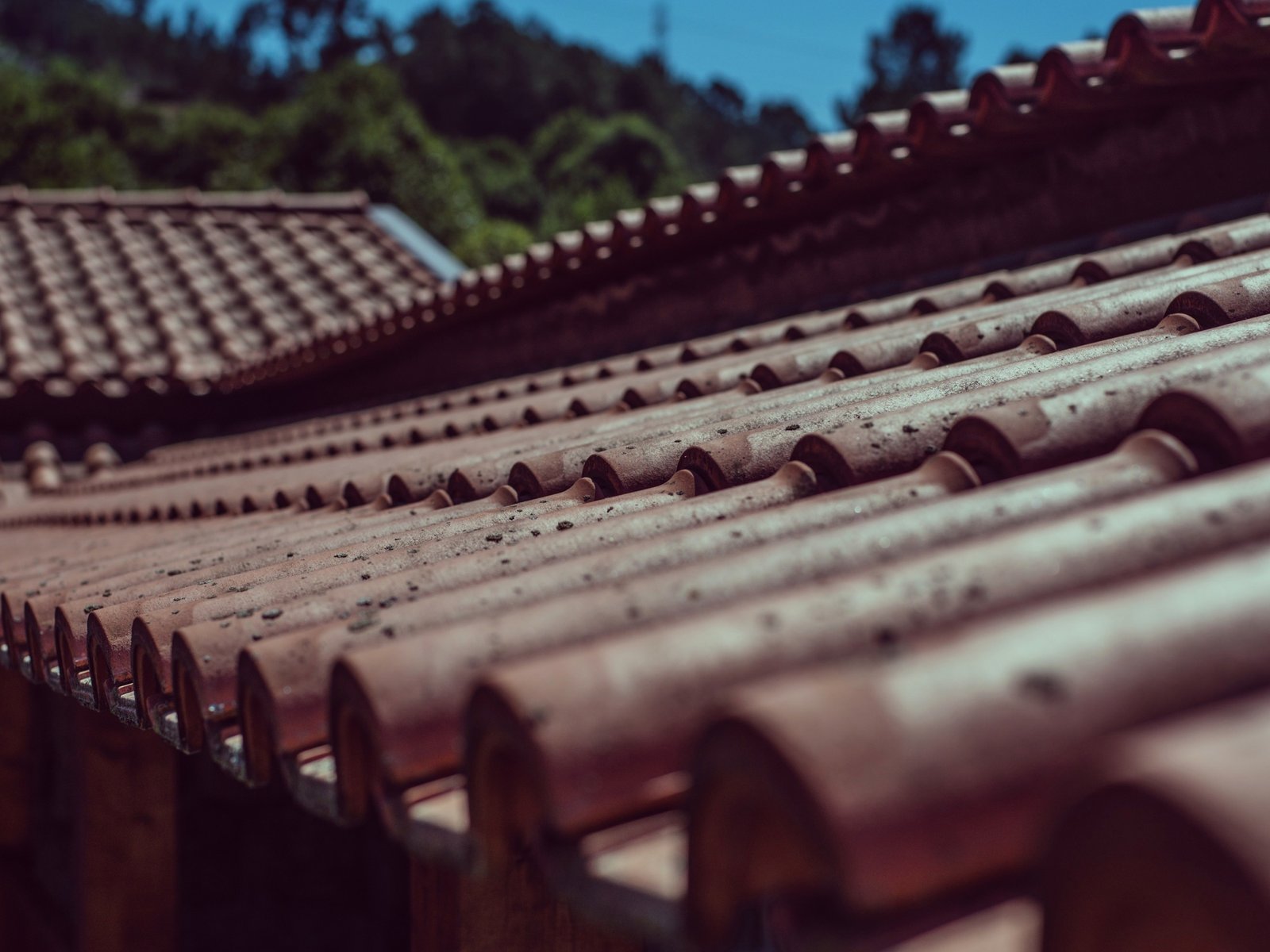 Ebenezer Roofing LLC — roofing contractor in Brownsboro, TX
