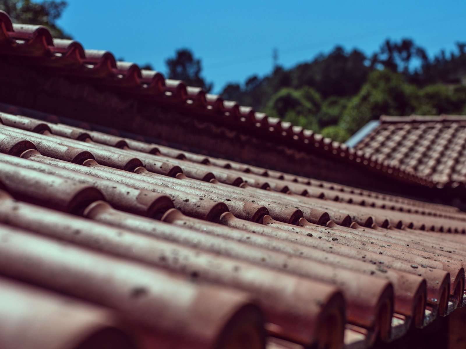 Storm Guard Roofing of Mandeville — roofing contractor in Burgaw, NC