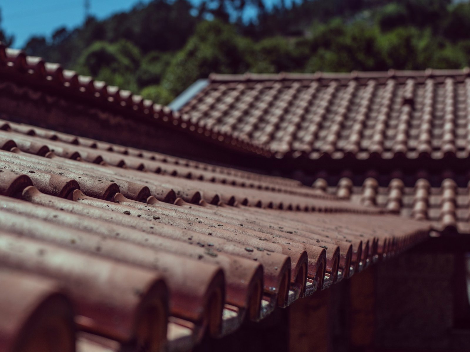 Trademark Roofing Solutions — roofing contractor in Conroe, TX