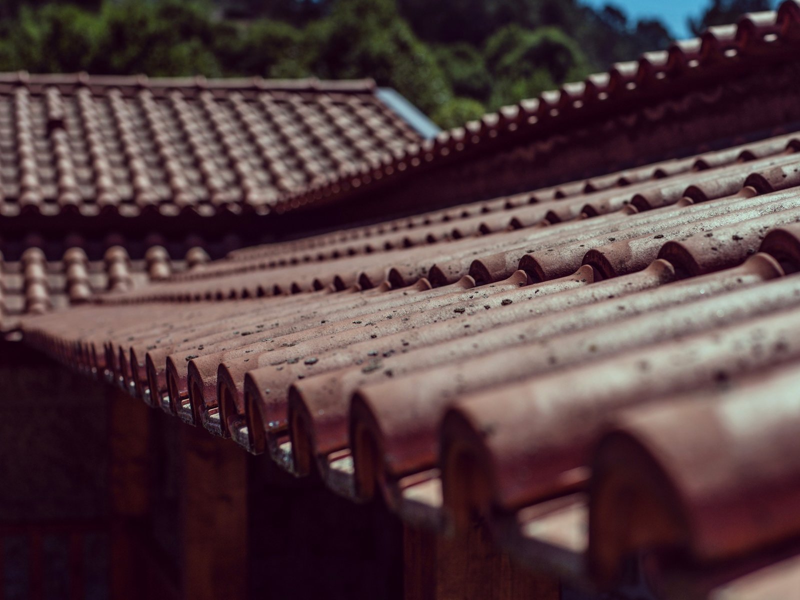 BW & Sons Roofing — roofing contractor in Asbury Park, NJ