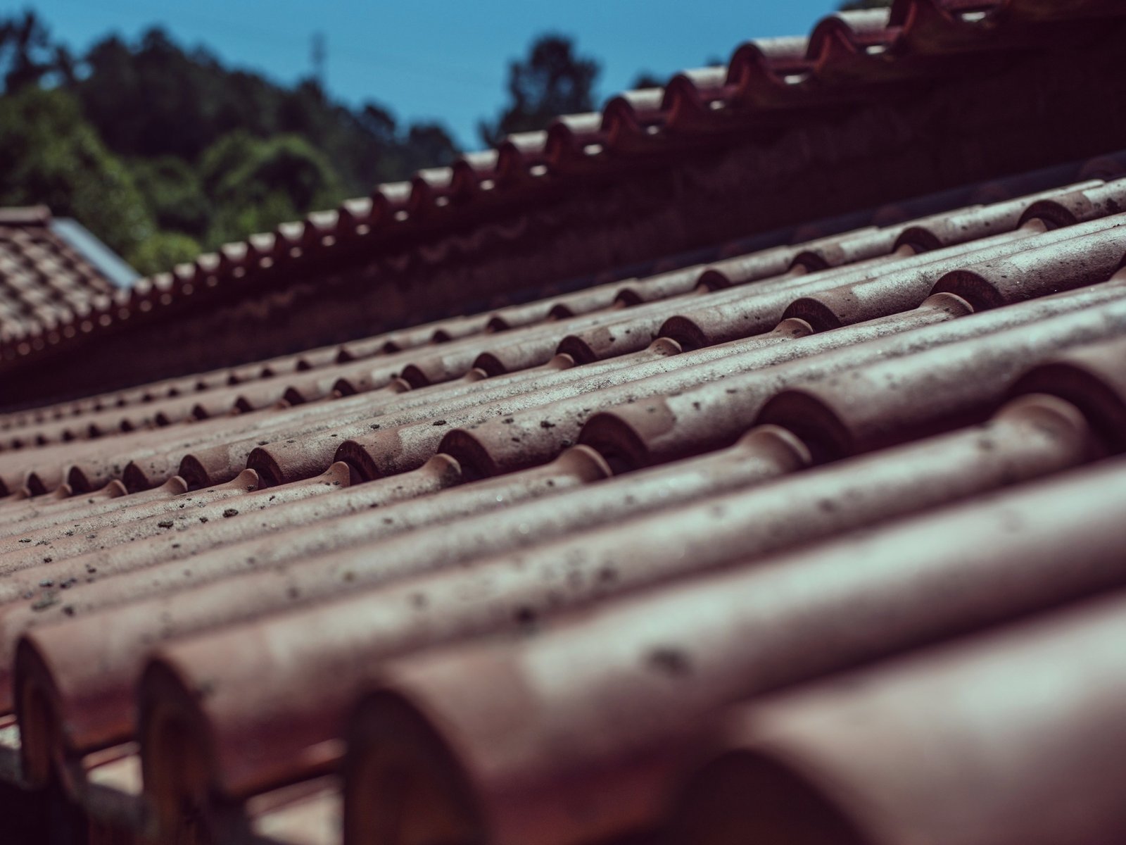 Southern National Roofing — roofing contractor in Currituck, NC