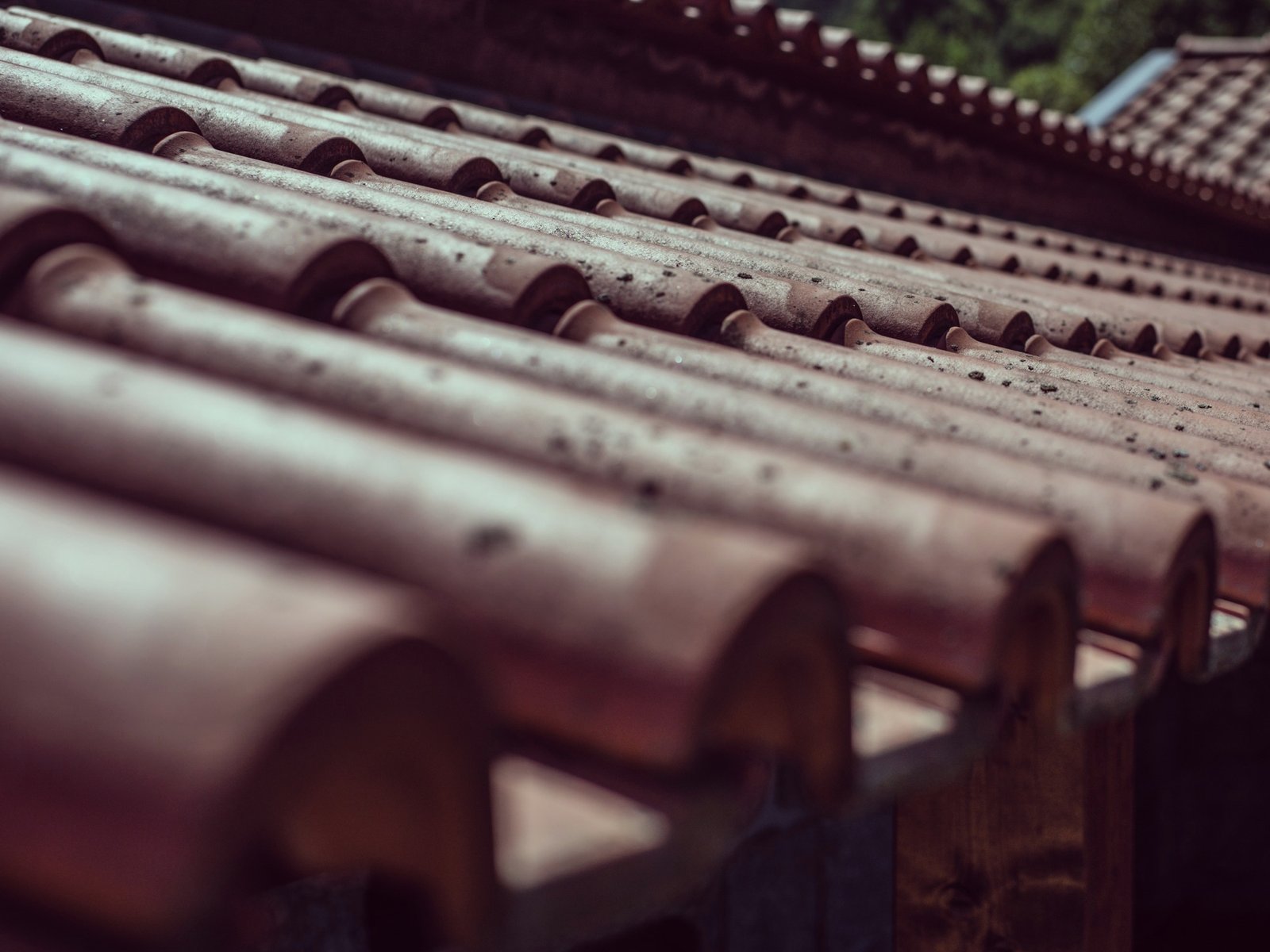 Murphy's Roofing — roofing contractor in Moon, PA