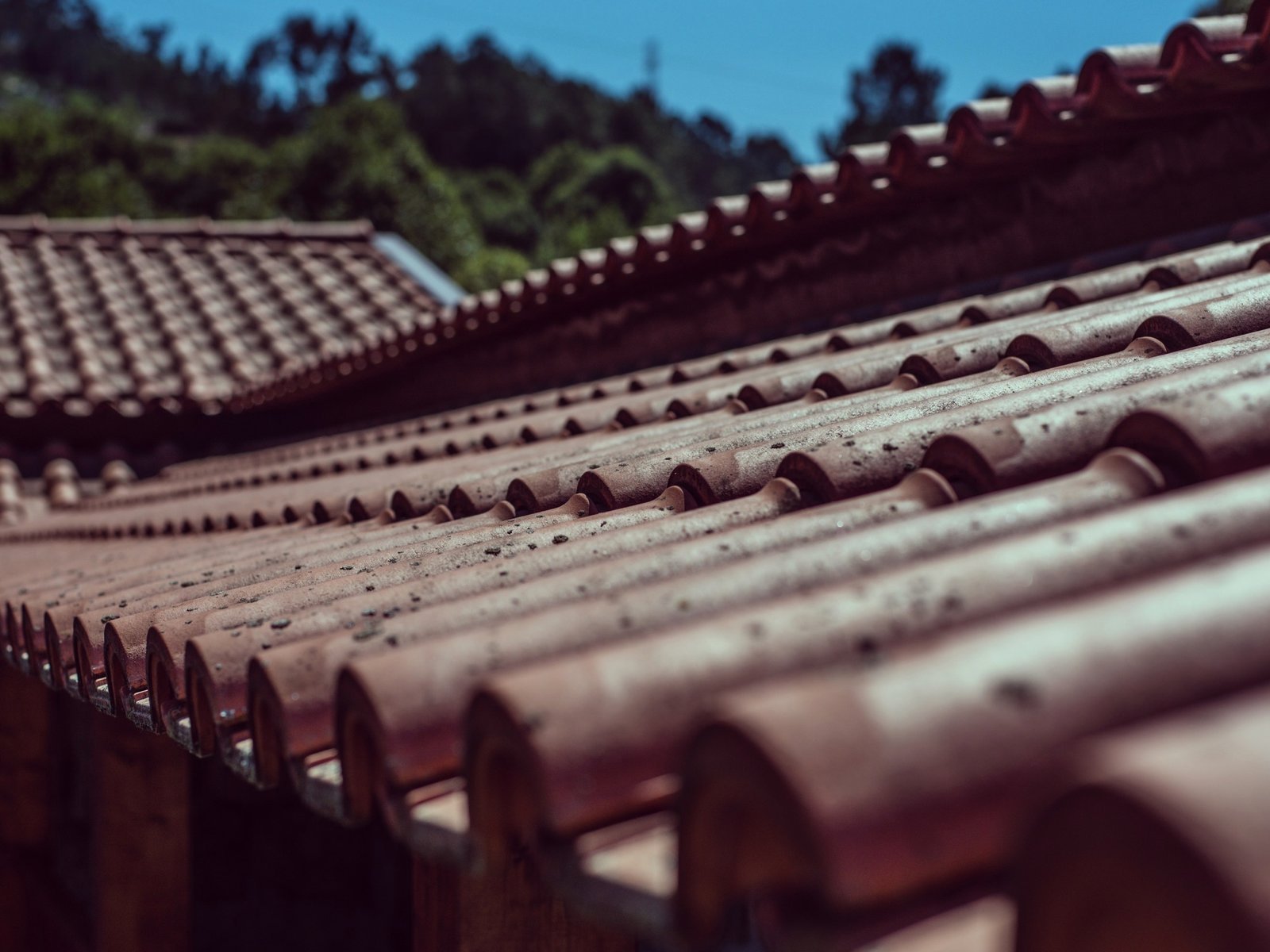 Seacoast Metal Roofing — roofing contractor in Apple Valley, CA