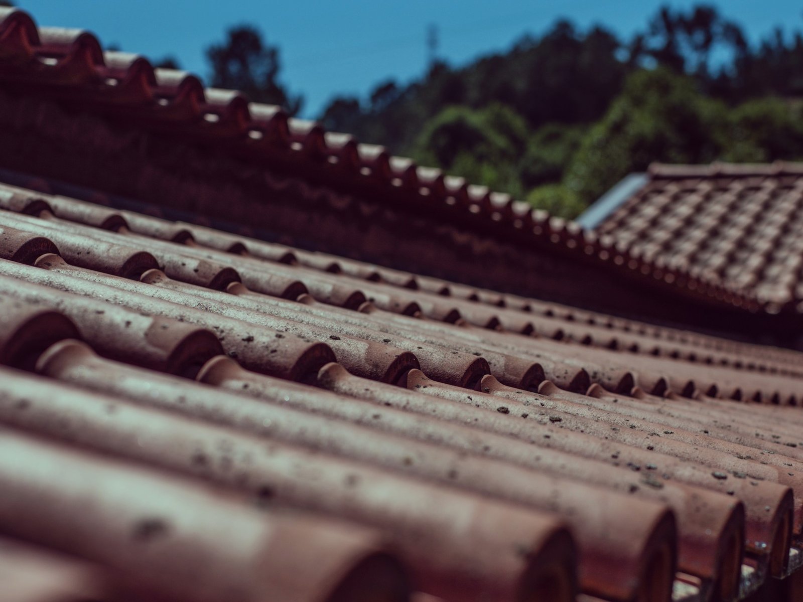 Guaranteed Roofing — roofing contractor in Downers Grove, IL