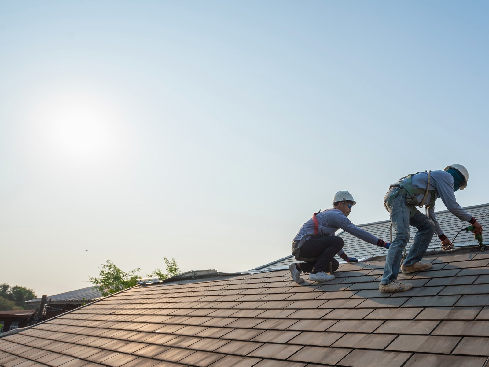 Lucas Roofers Repair, LLC — roofing contractor in Bluemont, VA
