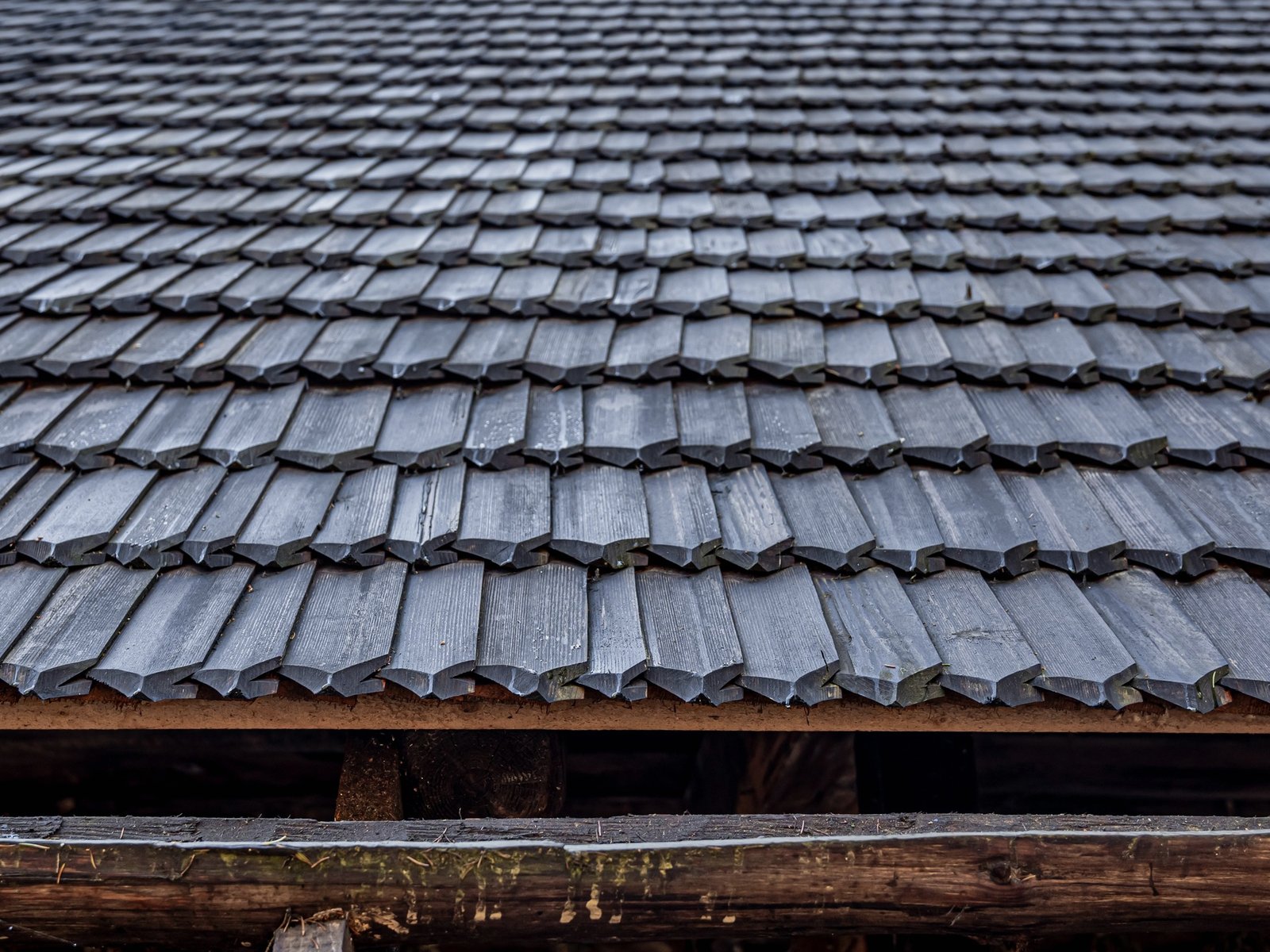 Aero Residential Roofing Inc. — roofing contractor in Penn Forest, PA