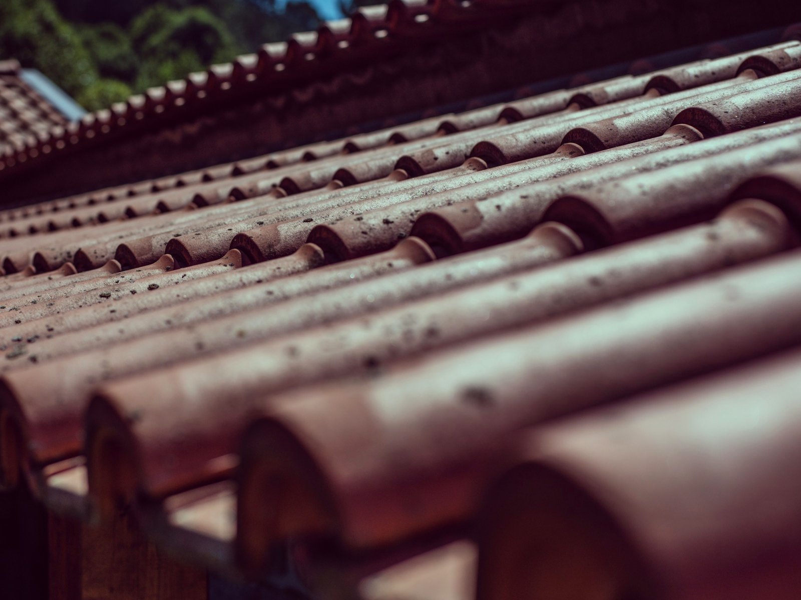 Wilkerson Roofing LLC — roofing contractor in Bradley, IL