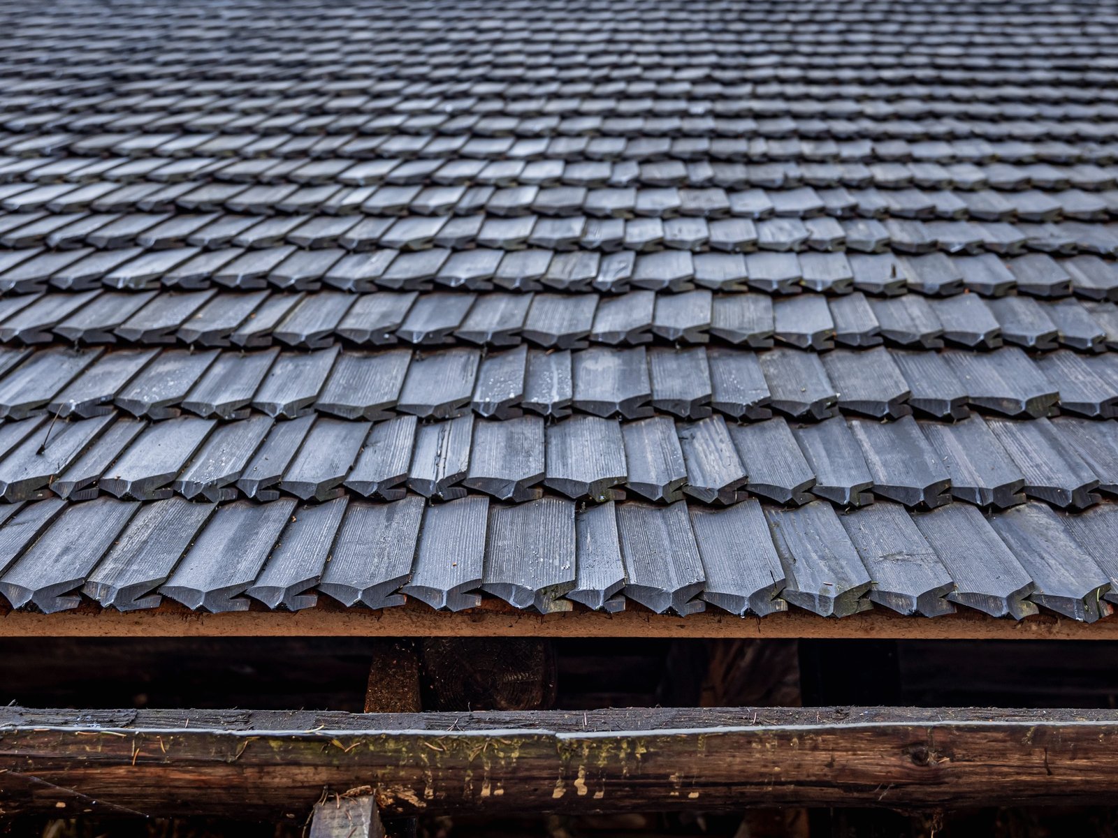 M&M Roofing and Siding Corp — roofing contractor in Crystal River, FL