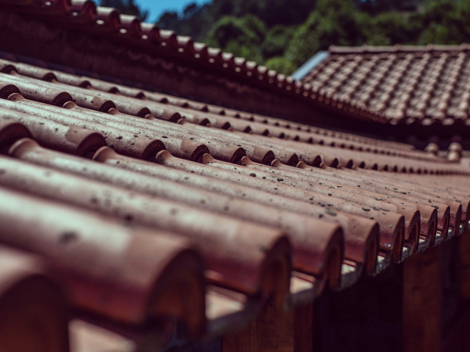 HF Roofing Inc — roofing contractor in Upper Dublin, PA