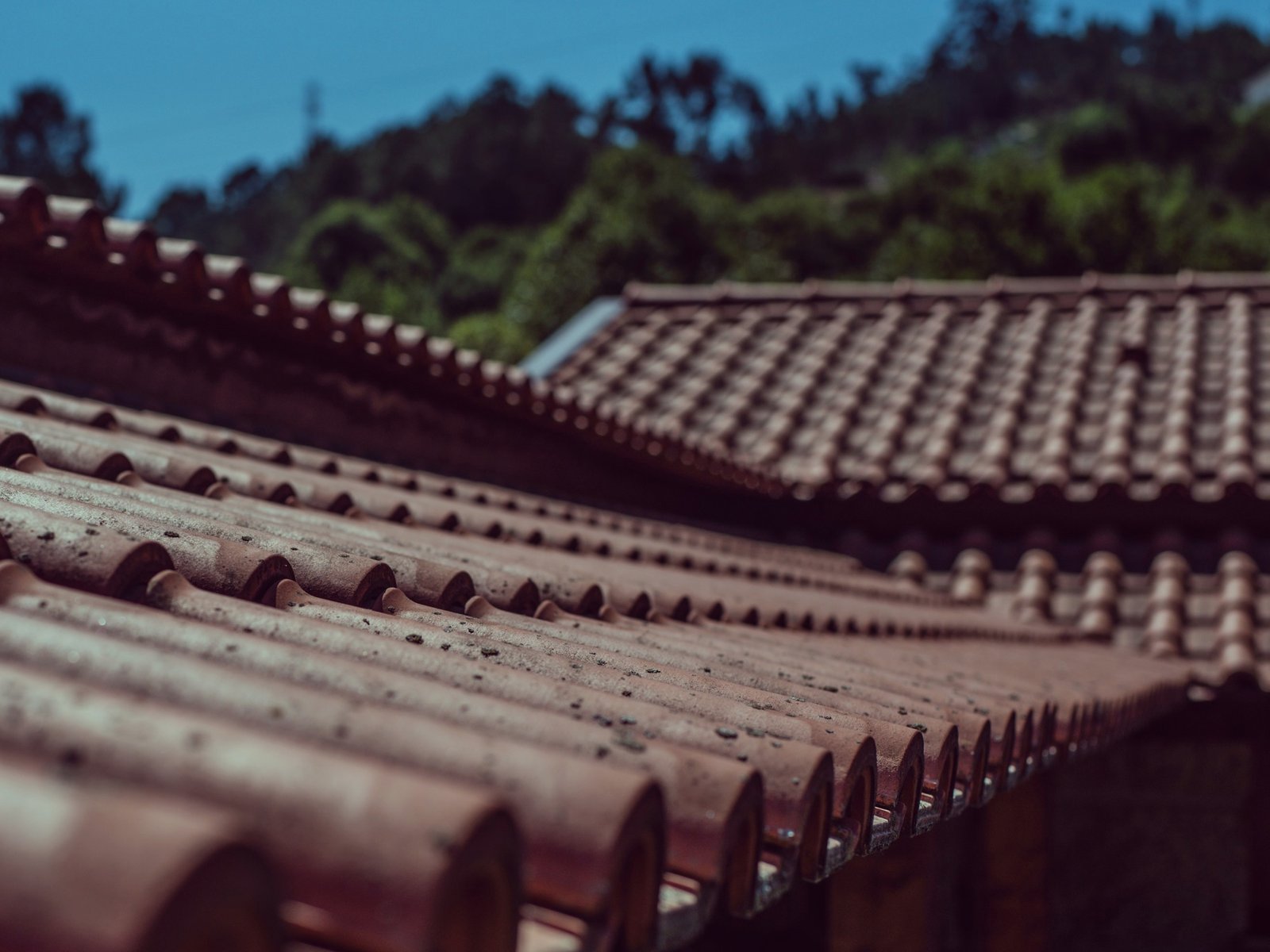 The Delta Roofers Company — roofing contractor in Danbury, TX