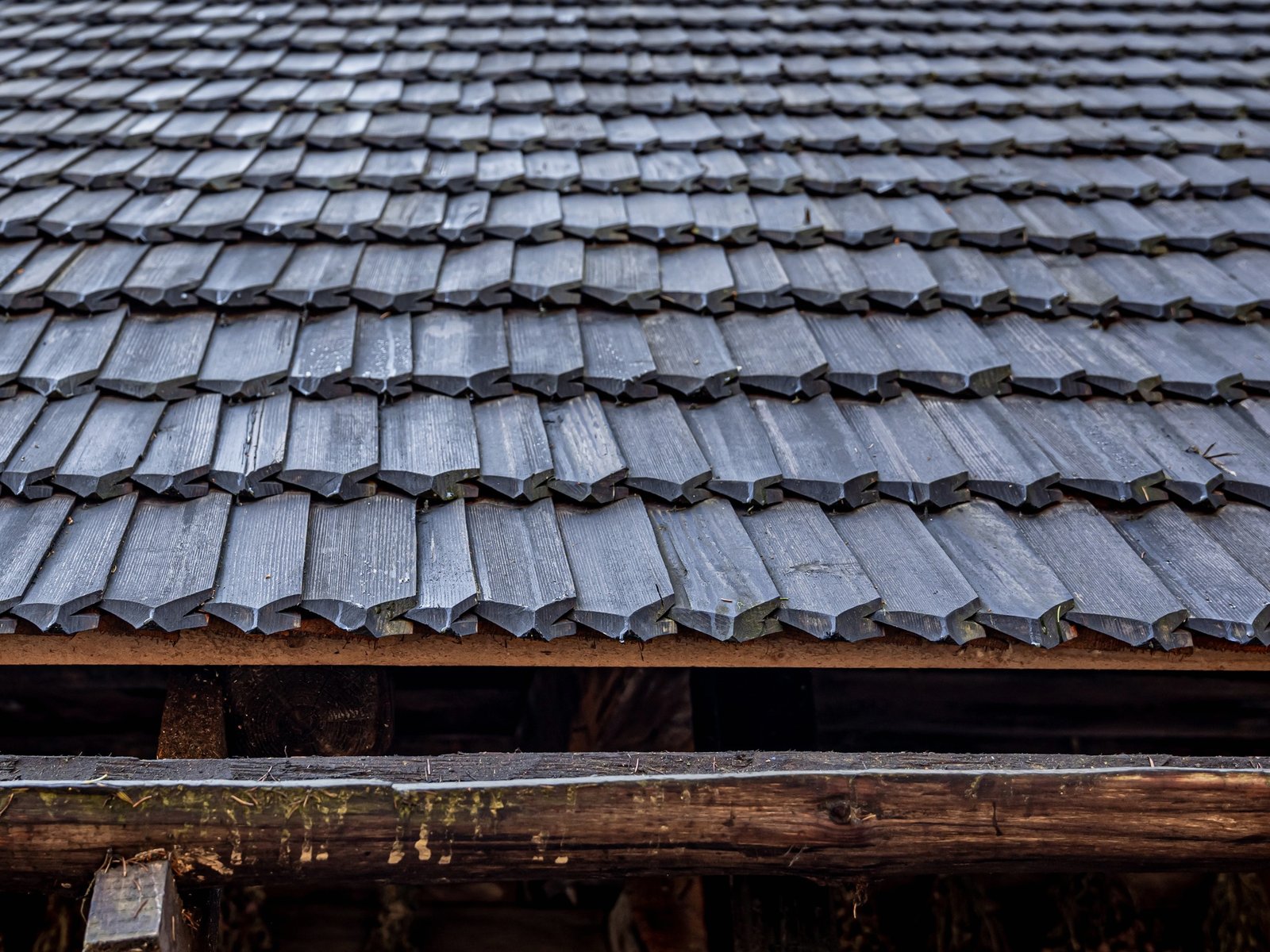 WeatherPro Roofing — roofing contractor in Chelsea, MA