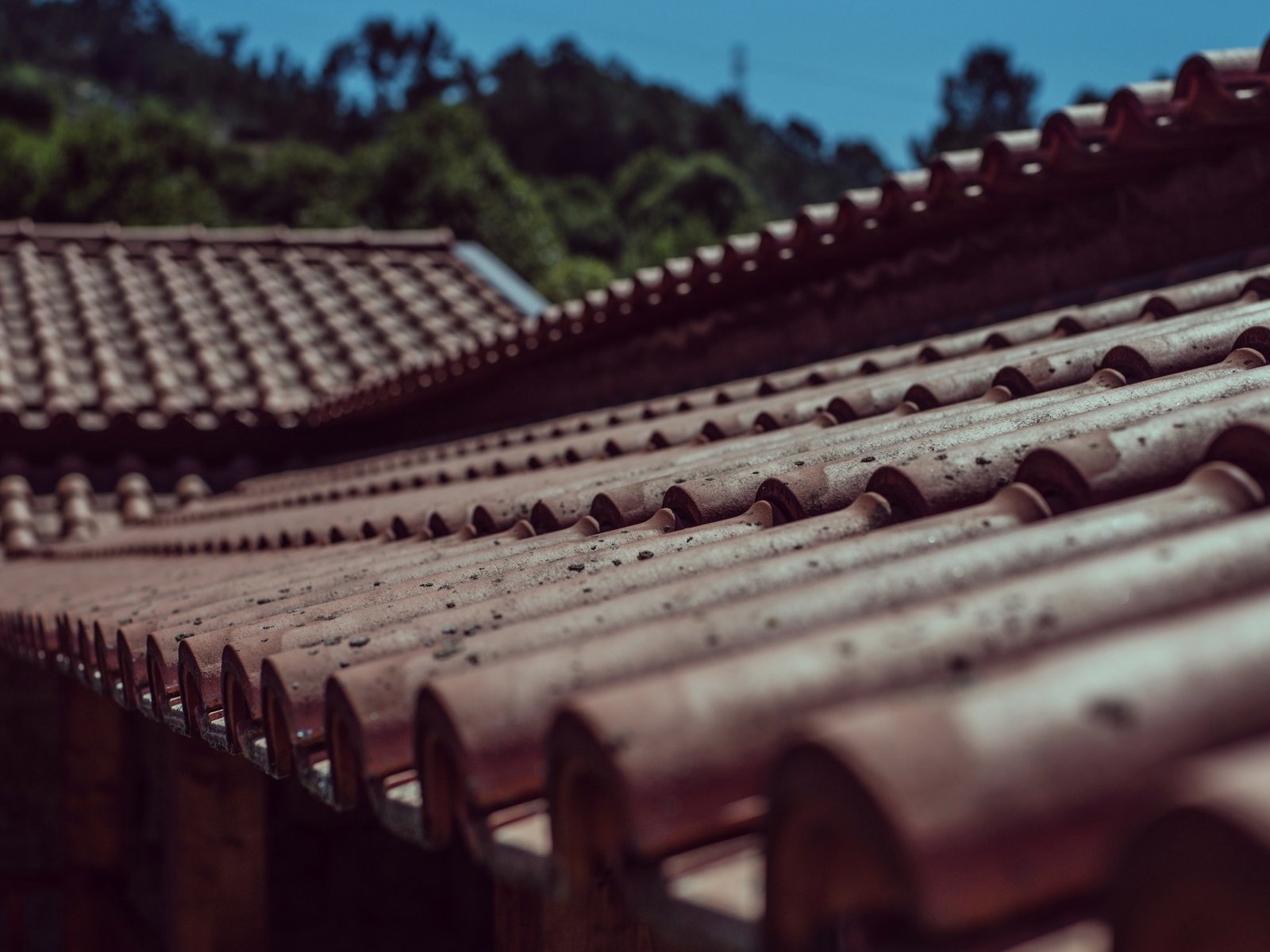 Roofing Analytics, LLC. — roofing contractor in Coatesville, PA