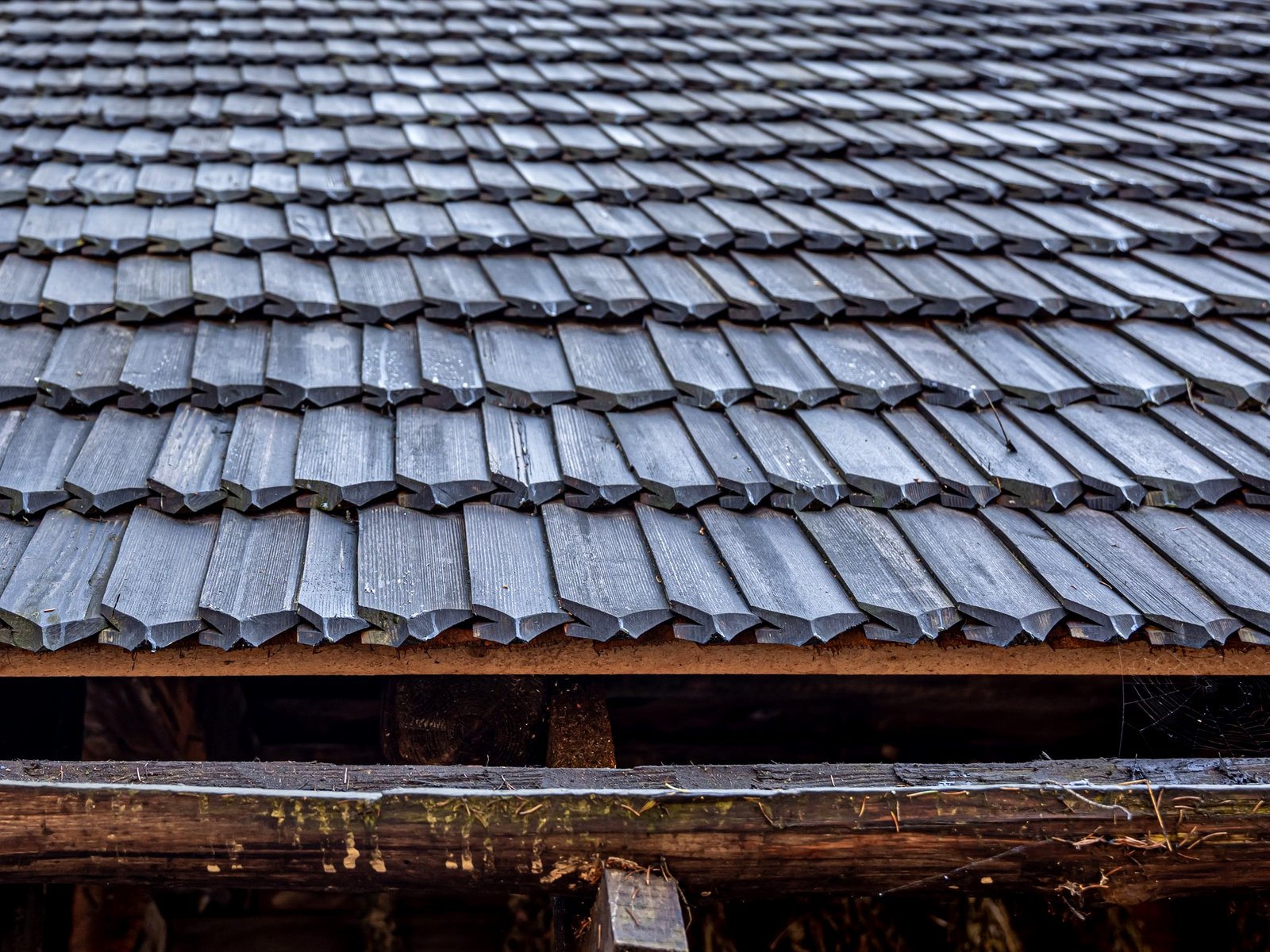 NELA Roofing — roofing contractor in Apex, NC