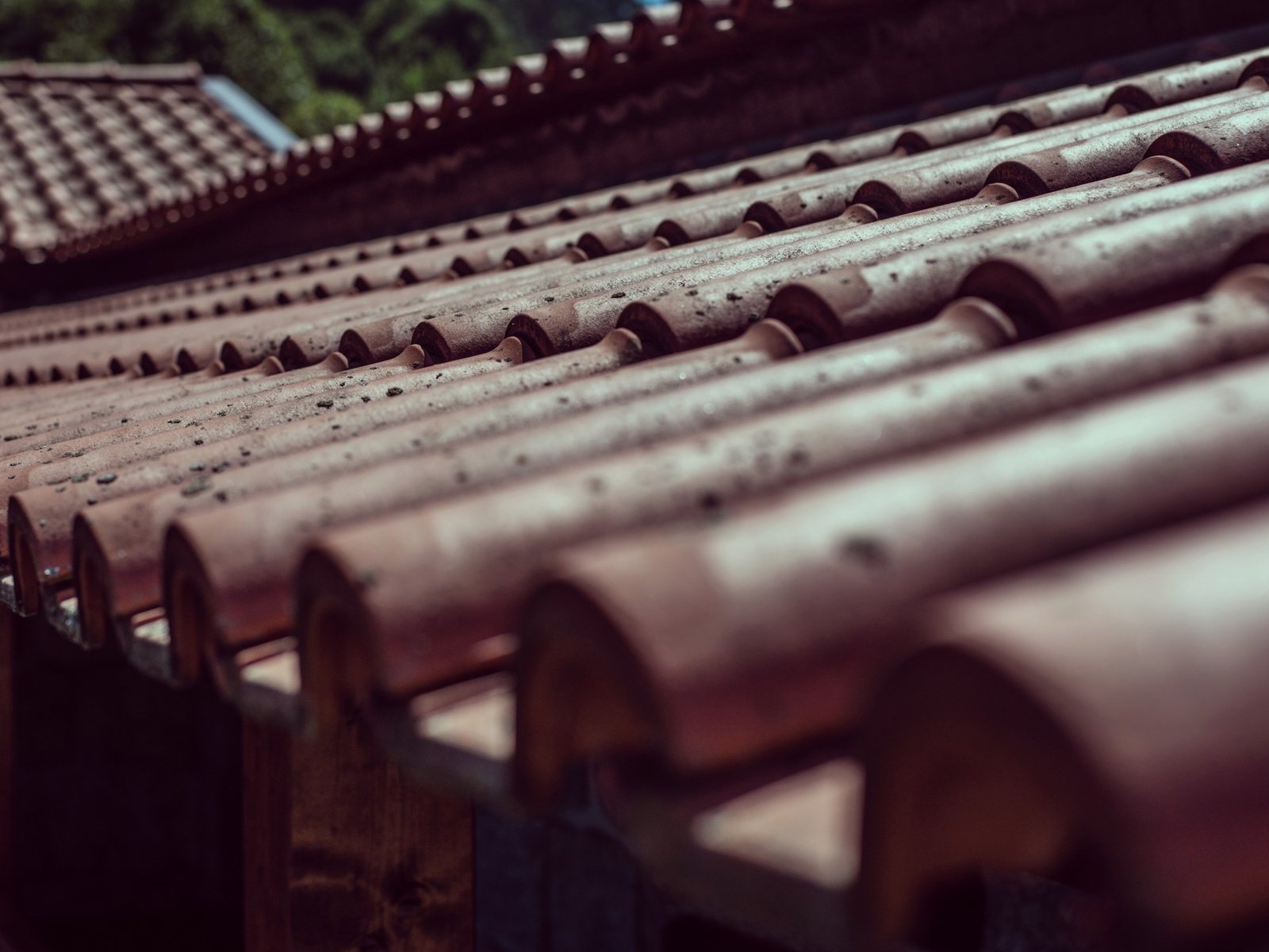 J&J Roofing — roofing contractor in Alameda, CA