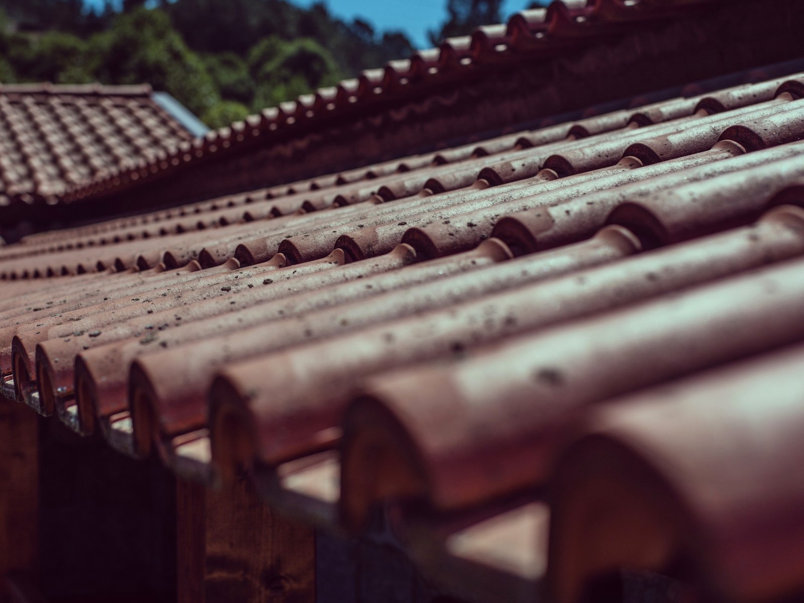 Wilson & Sons Roofers Repair LLC — roofing contractor in Cumberland Furnace, TN