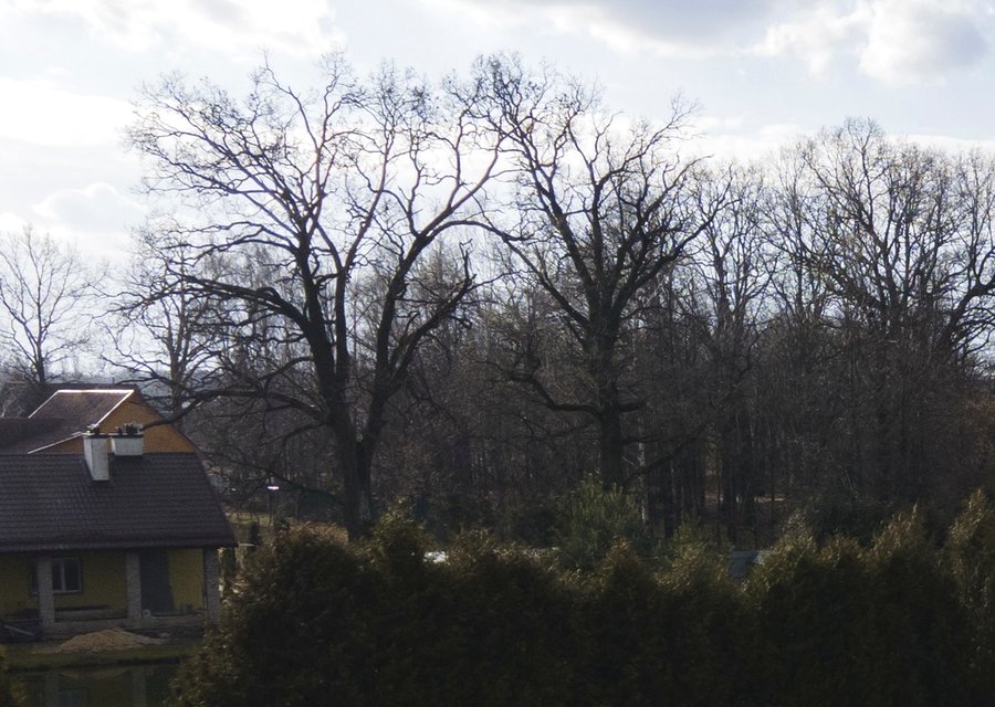Roof project — Hodge Roofing, LLC, Whitemarsh PA